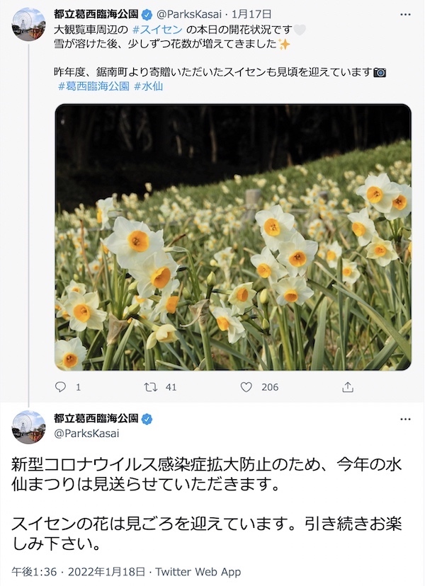 葛西臨海公園「水仙まつり」