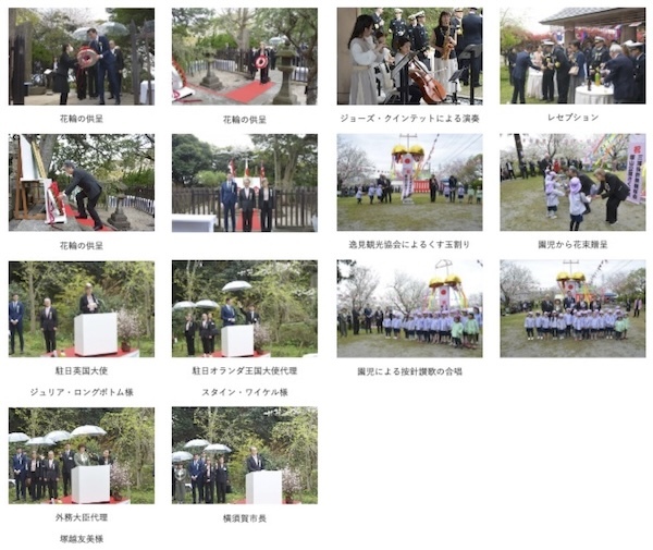 三浦按針祭観桜会（William Adams Cherry Blossom Party）