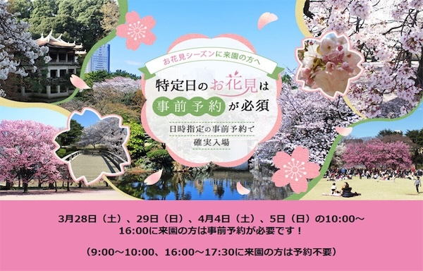 新宿御苑お花見シーズン