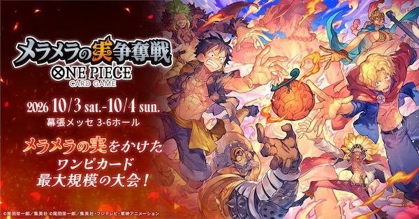 メラメラの実 争奪戦